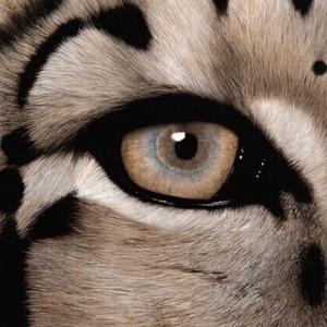 黄瓜wwwxy17app在线观看
