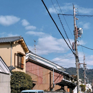 黄瓜wwwxy17app在线观看
